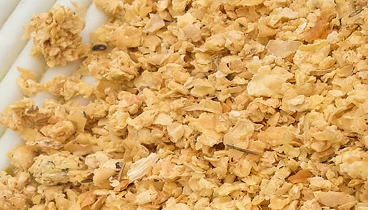 豆粕期貨行情分析，豆粕期貨的手續(xù)