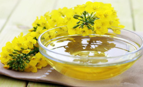菜油期貨手續(xù)費標準，怎么降低菜油