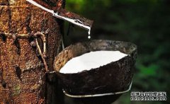 橡膠上漲仍可期，焦炭期現(xiàn)聯(lián)動，向