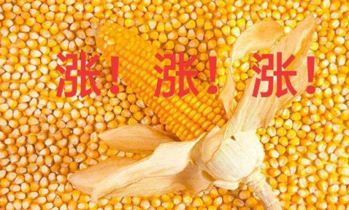 玉米期貨開戶要驗資嗎？為何不能買