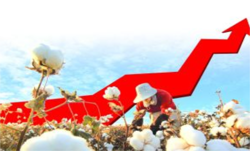 棉花期貨價格變化和哪些因素有關(guān)？變動