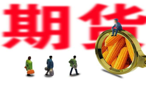 新手投資者怎么買玉米期貨？
