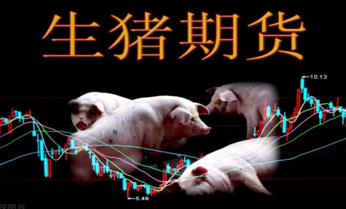 生豬期貨的作用和交易規(guī)則有哪些？