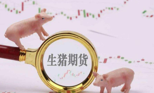 生豬期貨未來(lái)走勢(shì)將會(huì)如何？生豬期