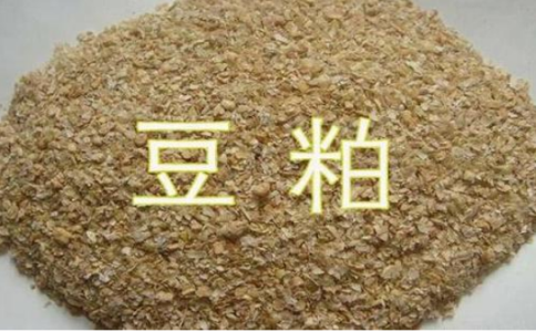 期貨豆粕和菜粕的關(guān)聯(lián)性，菜粕豆粕